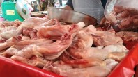 Harga Ayam  Melambung  Tembus Rp47 Ribu di Pekanbaru, Warga Mengadu ke Wakil Rakyat