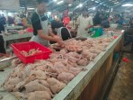 Harga Ayam Terbang Tinggi Capai Rp100 Ribu, Distributor Dicurigai Bermain