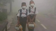 Apa yang Terjadi pada Tubuh saat Menghirup Asap Karhutla? Ini Kata Pakar Kesehatan