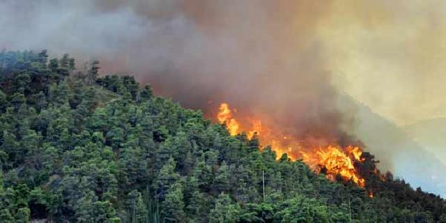  BMKG: Kebakaran Riau Makin Luas Akibat El Nino 