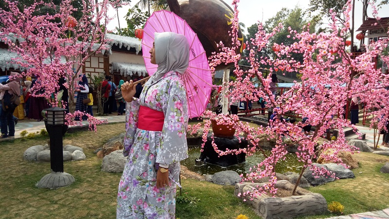 Tak Usah Lagi ke Jepang untuk Lihat Bunga Sakura Bermekaran, Cukup Mampir ke Taman Sakura Cibodas