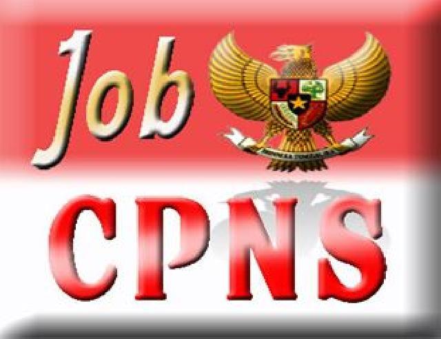 99 Persen CPNS Pelamar Umum Sudah Daftar Ulang