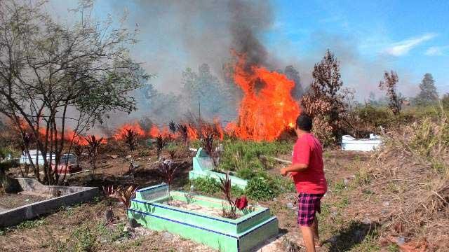  Rimbo Panjang Terbakar, Areal Kuburan Ikut Imbasnya