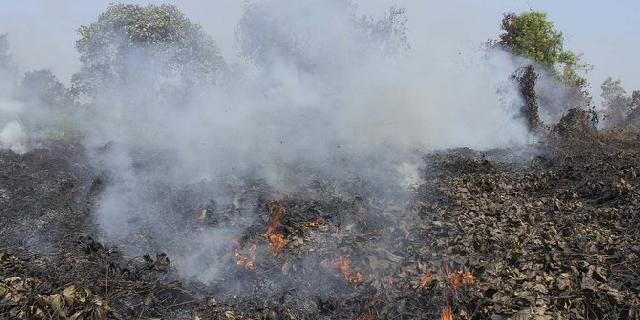 Riau Kembali Terdeteksi 24 Titik Api