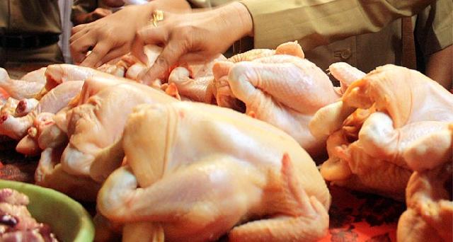  Di Riau Harga Daging Ayam Mulai Tak Stabil