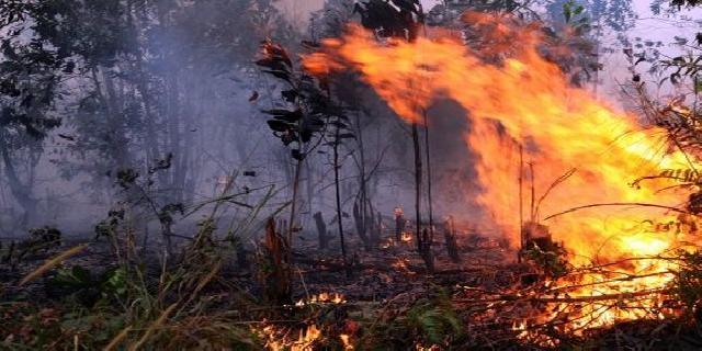 Sumsel Penyumbang Asap Terbanyak di Sumatra