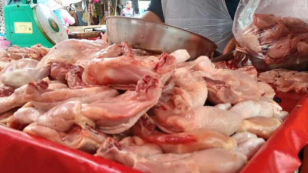 Harga Ayam  Melambung  Tembus Rp47 Ribu, Warga Mengadu ke Wakil Rakyat