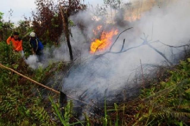 2013, Riau akan Dilanda Kebakaran Hutan Terhebat 