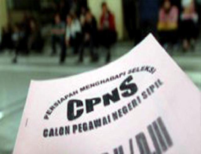 30 Januari, Batas Akhir Pendaftaran CPNS Pemko Pekanbaru