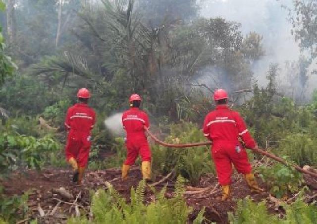  Tiga Korban Dinyatakan Tewas karena Bencana Asap di Riau 