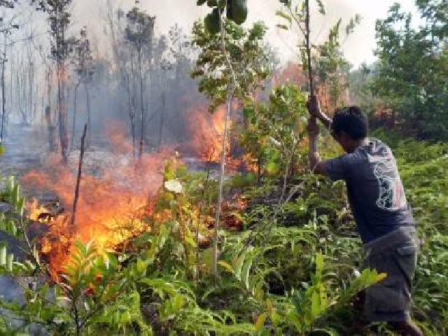 Pemprov Alokasikan Rp9,8 Miliar untuk Bencana di Riau