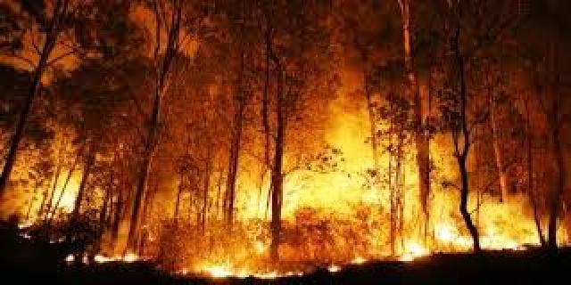 32 Ribu Liter Bom Air Dijatuhkan Di Titik Api