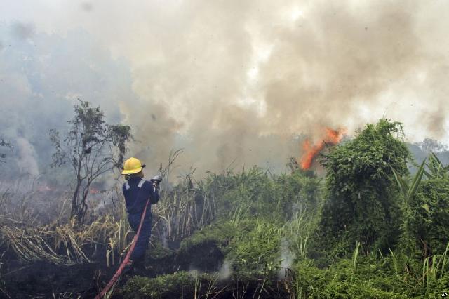 Ada Ratusan Titik Api di Riau dan Kalimantan