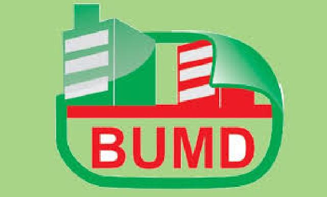  Pemprov Riau Sodorkan Draf Ranperda Tata Kelola BUMD