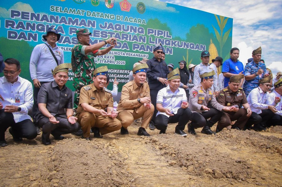 Pemko Pekanbaru Tanam 15.000 Pohon di Kawasan Komplek Perkantoran Tenayan Raya