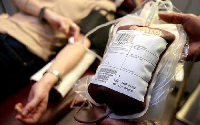 Ternyata Donor Darah Bikin Gemuk Hanya Mitos