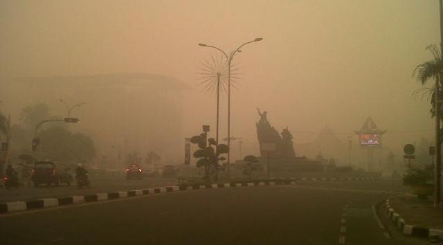BNPB: Udara di 7 Wilayah Riau Tidak Sehat
