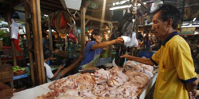  Mulai Pekan Depan, Harga Daging Ayam Kembali Normal
