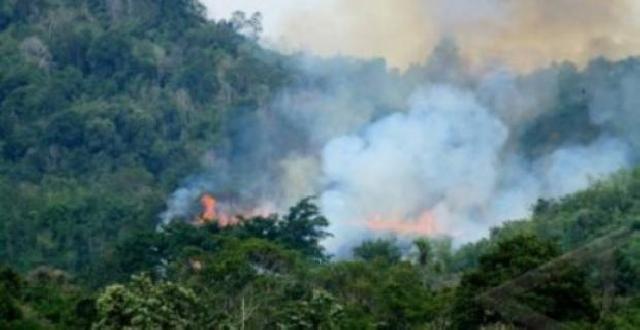BPBD Optimis Pekan Ini Titip Api Nihil di Riau 