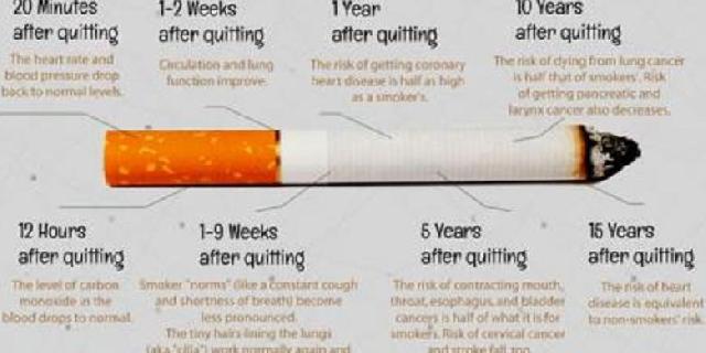  Ini Perubahan Tubuh Luar Biasa Saat Berhenti Merokok