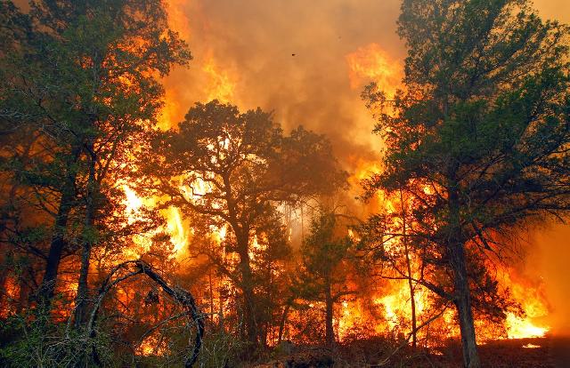 Titik Api Kerap Muncul di Riau, 18 Perusahaan Perkebunan Diaudit
