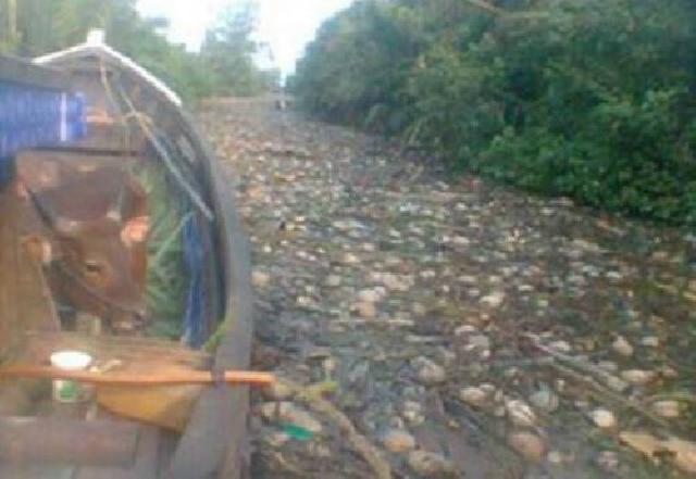 Pemkab Inhil Cuek, Sungai Selat Pidada Penuh Sampah dan Lumpur