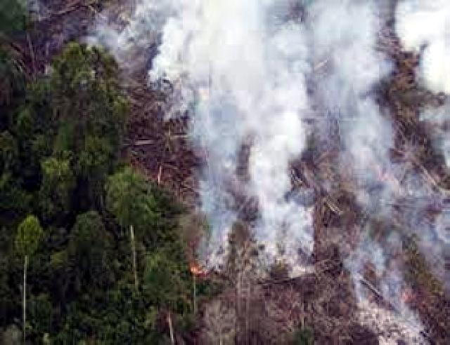 250 Hotspot Terdeteksi di Riau, Rohil Terbanyak