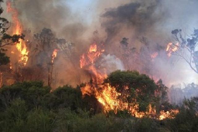 Asap Kebakaran Riau Tidak Sampai ke Negara Tetangga