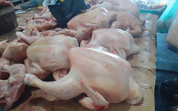Ini Penyebab Harga Daging Ayam dan Telur Masih Tinggi di Riau