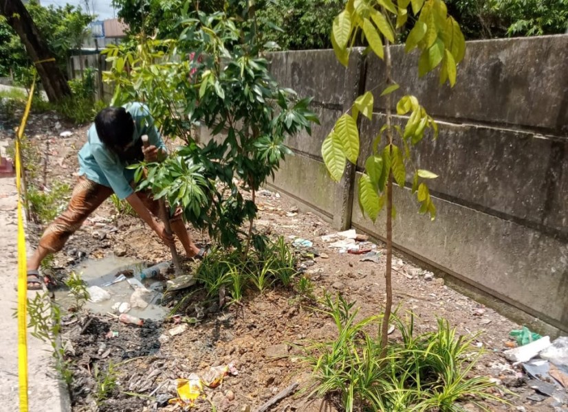 Wujudkan Pekanbaru Bersih, TPS Liar di Jalan Soekarno Hatta Disegel dan Dihijaukan Kembali