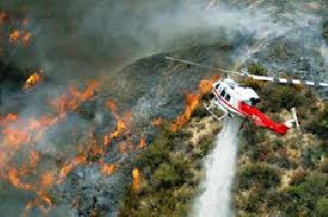 Plt Gubri: Siaga Darurat Karhutla Riau Diperpanjang
