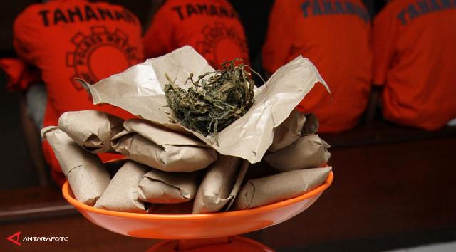  Pelajar Dan Petani Pengedar Ganja Diringkus Polisi