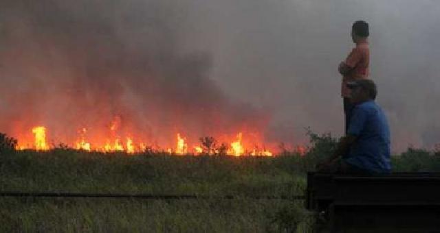  Gawat, Hingga Kini Sudah 1.264 Ha Lahan Terbakar di Riau