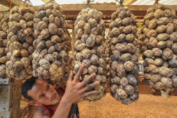Harga Pinang Kering di Riau Dihargai Rp4.748 per Kg Minggu Ini