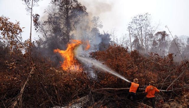 Syukurlah... Tentara Pembakar Hutan Riau Dipecat
