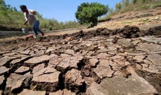  Kekeringan di Riau Hingga Akhir Agustus