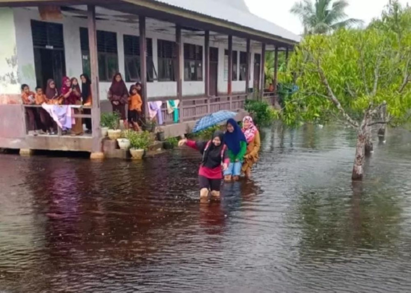 Kegiatan Belajar 24 Sekolah di Pelalawan Lumpuh Total Akibat Musibah Banjir