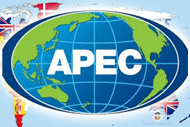 2021, Presiden Jokowi Lebih Menekan Pada Pertumbuhan Ekonomi APEC