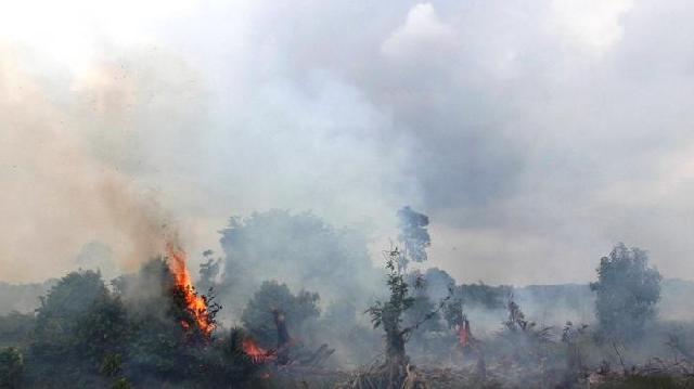  DPRD: Pemprov Riau tak Serius Atasi Karhutla