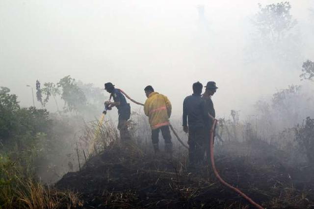 61.645 Warga Riau Terserang Penyakit akibat Asap