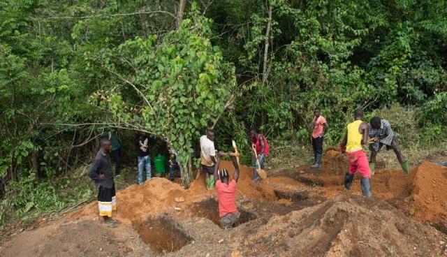  Waduh, Penyakit Ebola Sudah Tewaskan 729 Orang
