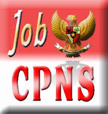   Belasan Peserta Tes CPNS Rohil-Meranti Sambangi Menpan-RB