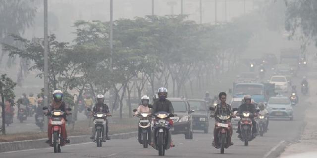  Karena Asap, Pedagang Makanan Juga Terancam Bangkrut