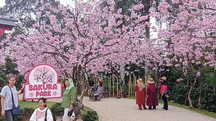 Ini Rekomendasi 8 Wisata Puncak Terbaru dan Terpopuler Sangat Cocok untuk Mengisi Liburan