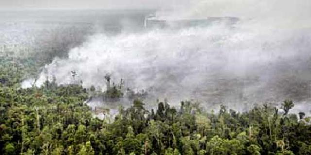 Kabut Asap Merusak Juga Mesin PLN