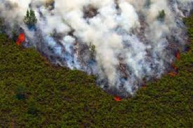 Kapolda Riau: Dari Pantauan Udara Meranti Tidak Ada Titik Api
