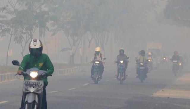  Wuih, 38 Ribu Warga Riau Terserang ISPA Akibat Kabut Asap