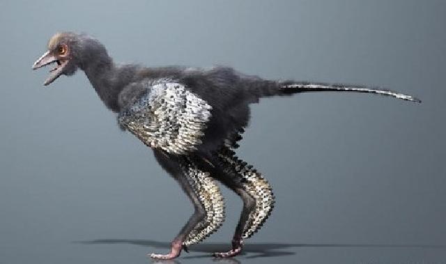 Peneliti Cina Temukan Kerangka Burung Pertama di Dunia