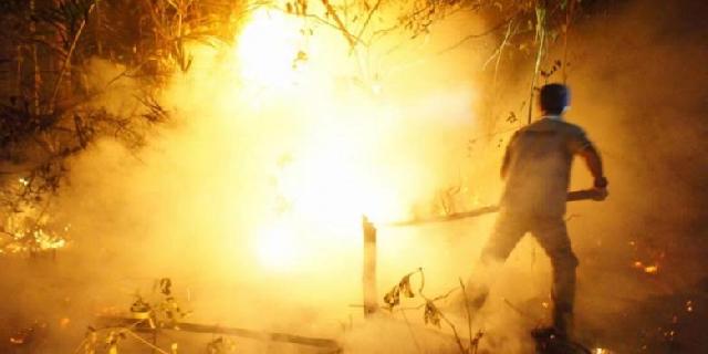 Ini Dia 23 Perusahaan Pembakar Hutan yang Disanksi Pemerintah