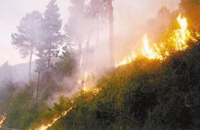 BNPB: 11.128 Hektare Lahan di Riau Terbakar